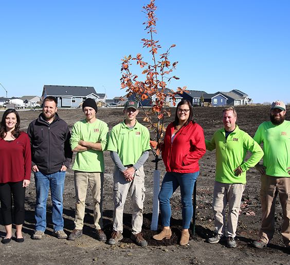 westown early may web